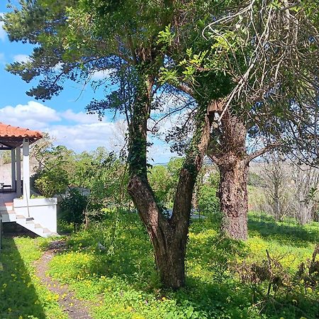 Quintinha A 35Min De Lisboa Βίλα Μάφρα Εξωτερικό φωτογραφία